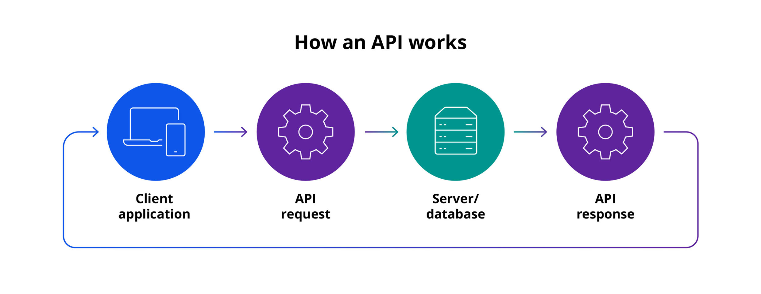 Top 6 insurance API: How API works